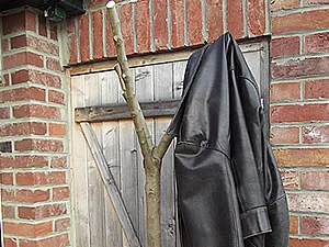 Porte-manteaux branché