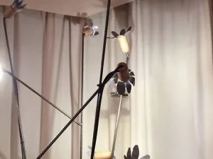 Lectures et photos en lumière